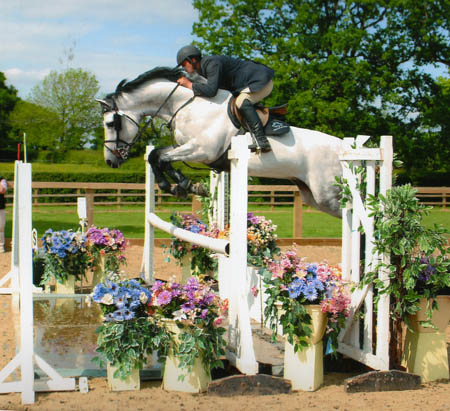 Eventing Horses